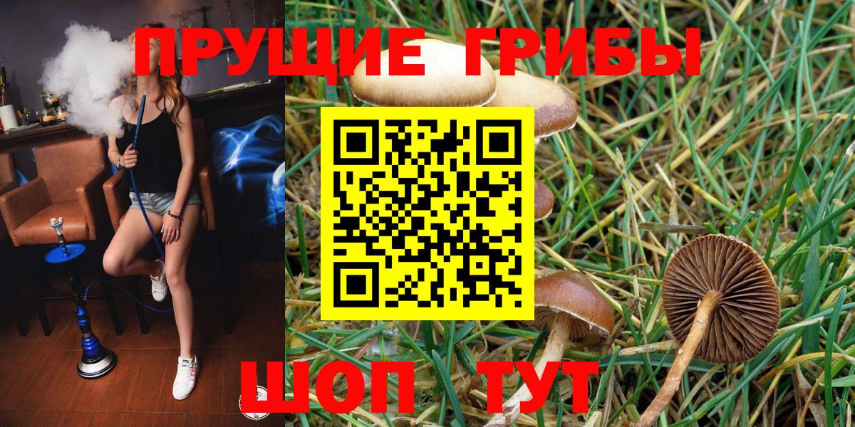 Галлюциногенные грибы GOLDEN TEACHER Похвистнево