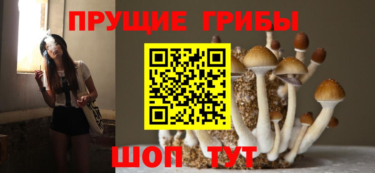 Галлюциногенные грибы Psilocybe  Псилоцибиновые грибы мицелий  Похвистнево  Вход с VPN 